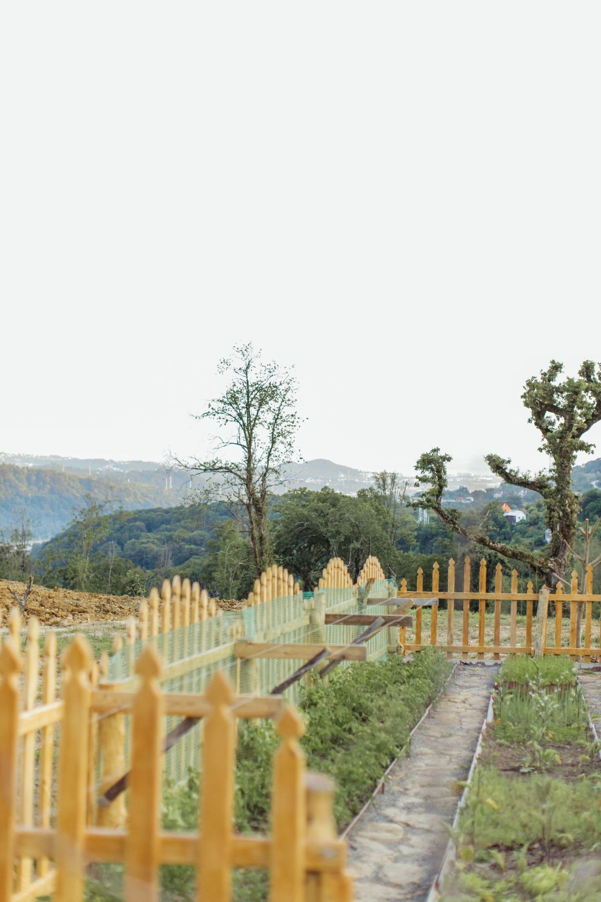 Clean natural wood fence along a garden path